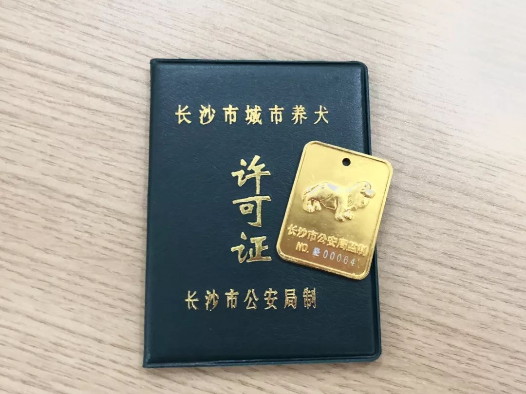 阿拉斯加可以办狗证吗